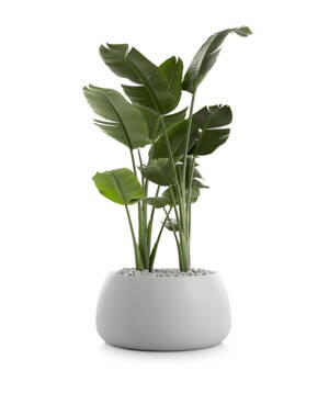  Květináč Gobi 3 Planter Light Grey, Ø 80 cm